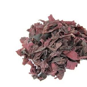 Marine ingredient for the food industry - Dulse (Palmaria palmata)