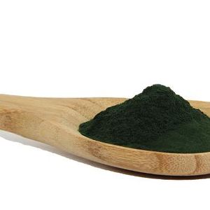 Marine ingredient for the food industry - Chlorella