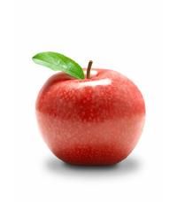 ERP SOFTWARE - FRUITS & VEGETABLES - FOR THE FOOD INDUSTRY