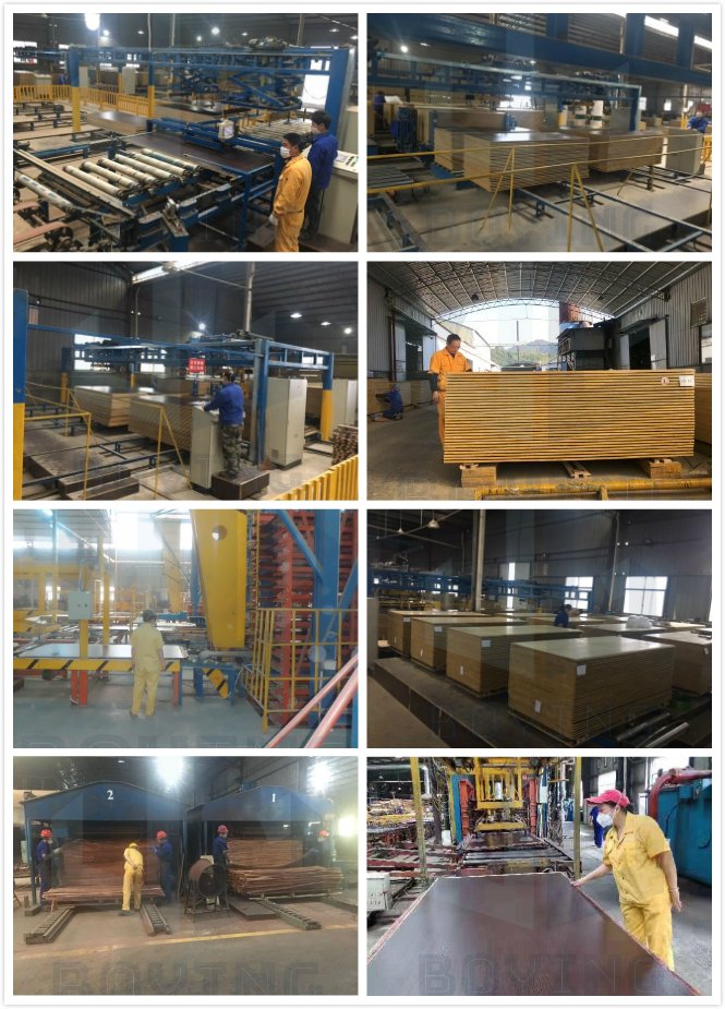 Boying Import Export Pty Ltd factory image 1