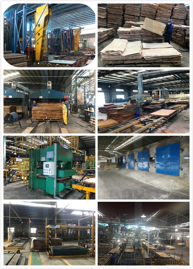 Boying Import Export Pty Ltd factory image 2