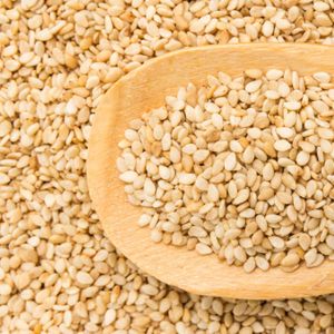 SESAME
