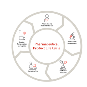 Pharmaceutical Product Life Cycle