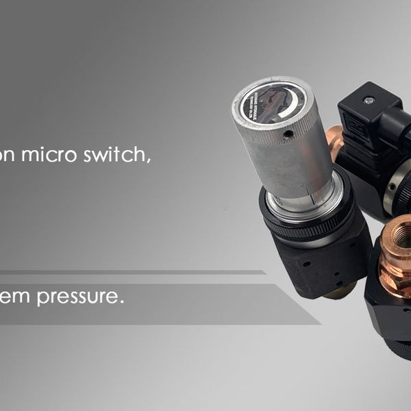 cvbvillbq10c739f6mbg.jpg