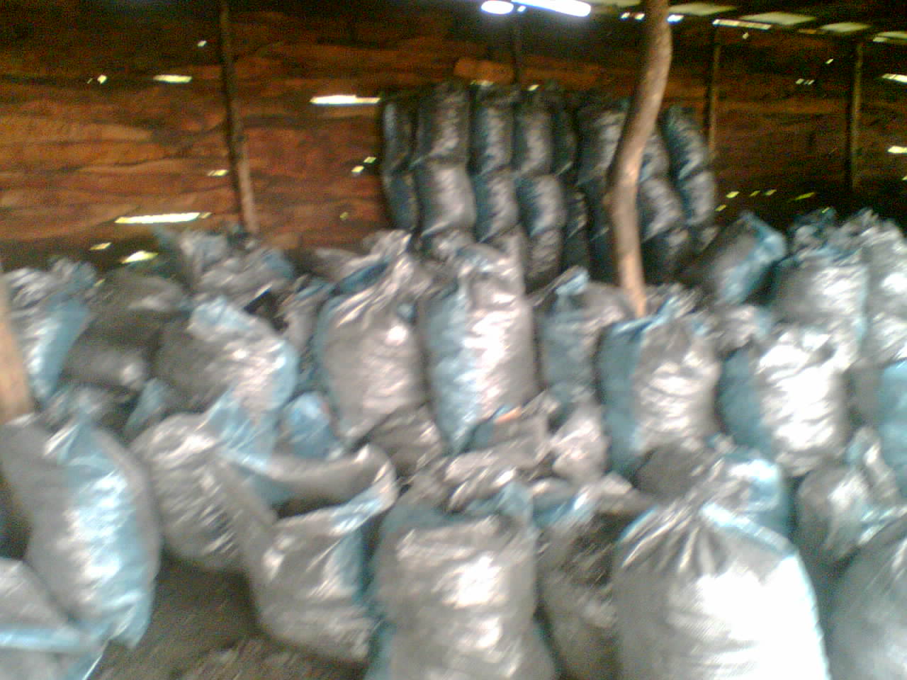 RYCENDI RESOURCES LIMITED factory image 3