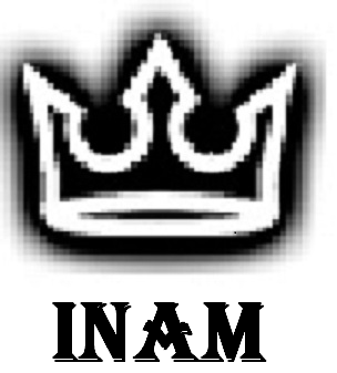 INAM Consulting and Foreign Trading Limited Company logo