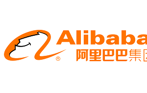 Company icon