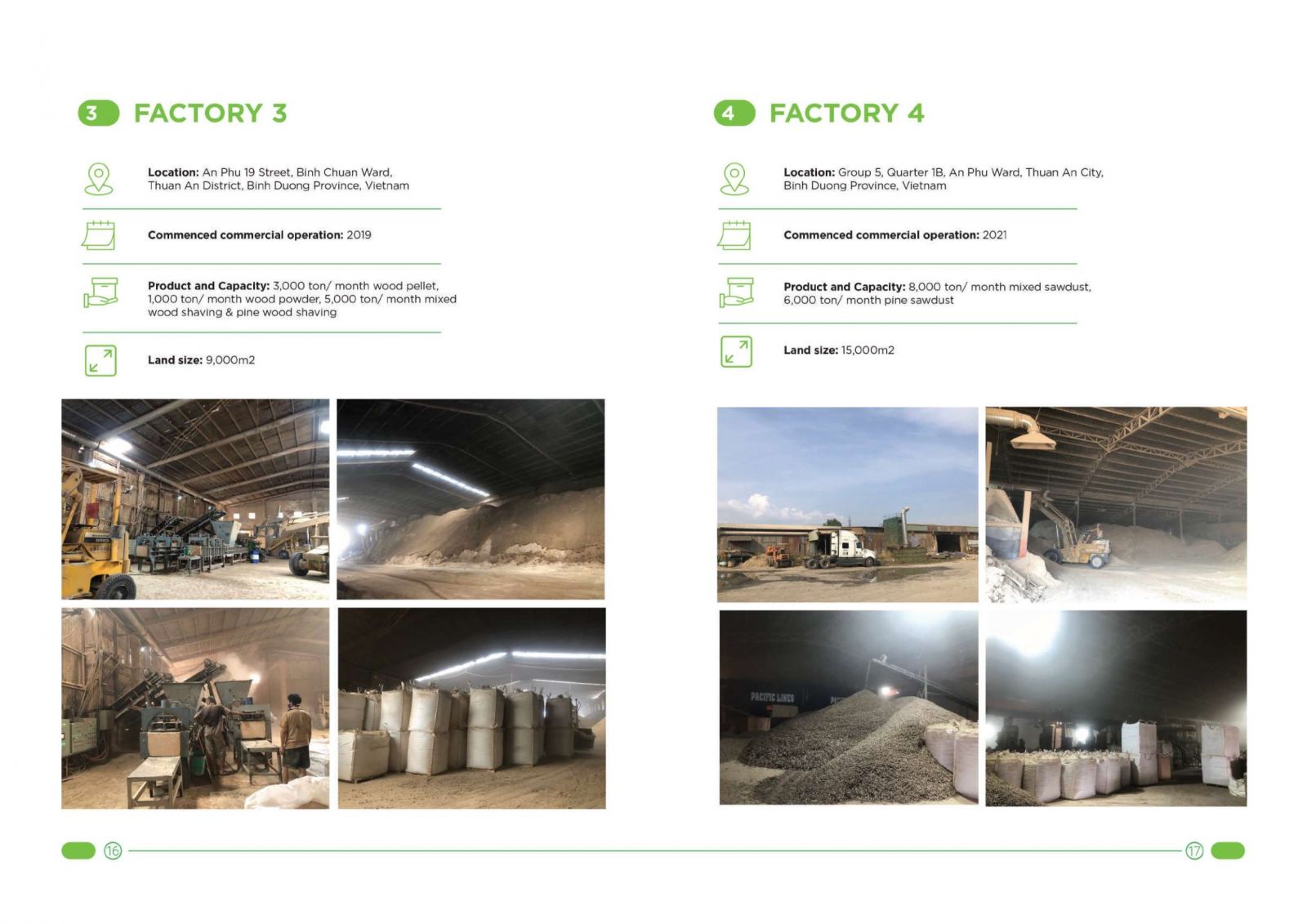 World Export Co., Ltd Wood Shavings