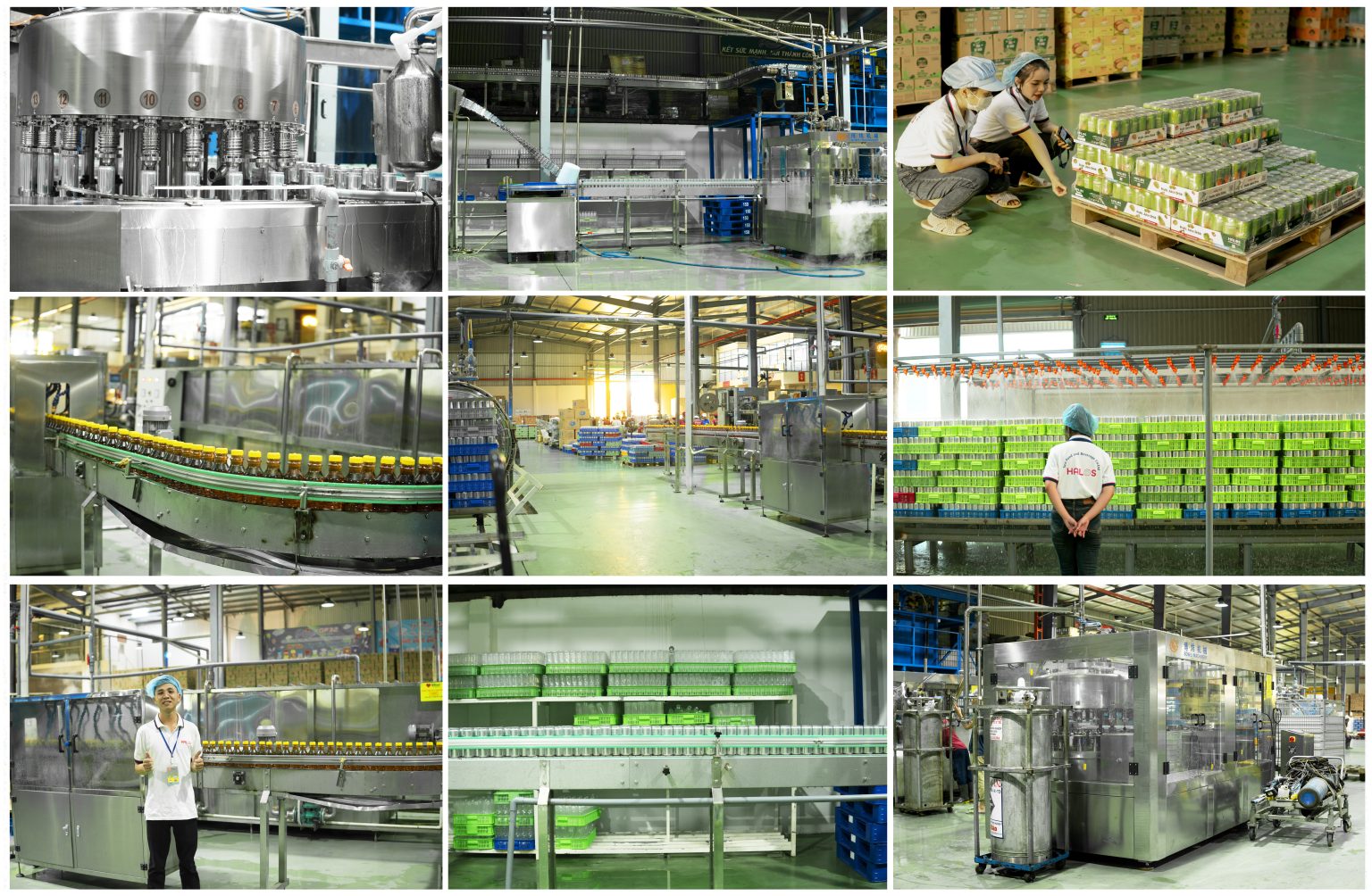 Sen Food and Beverage Co., Ltd. factory image 2