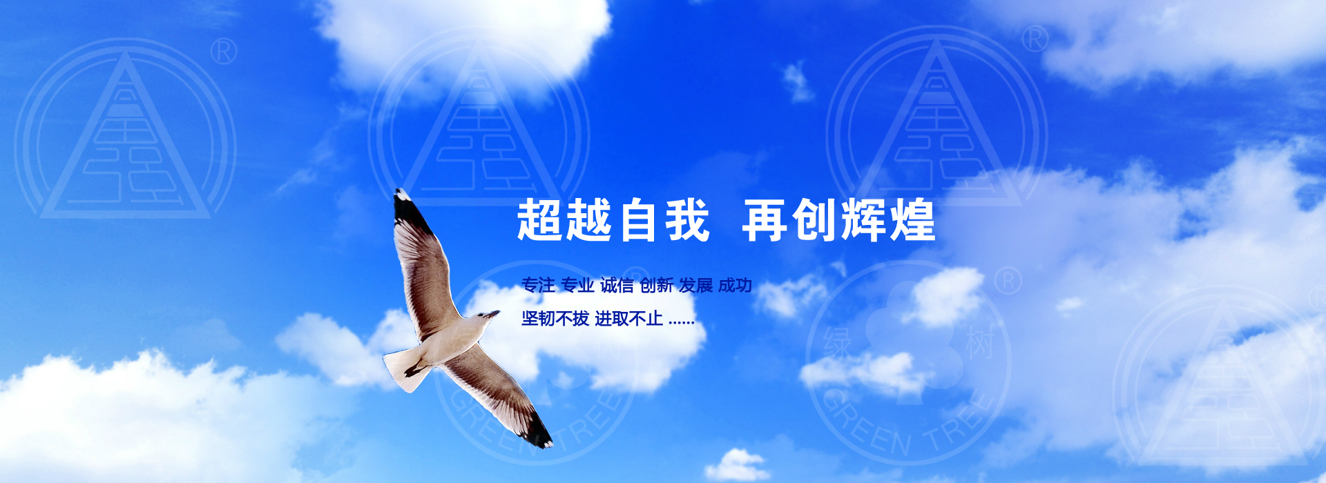 Xinle Huabao Plastic Products Co., Ltd. Tablecloths