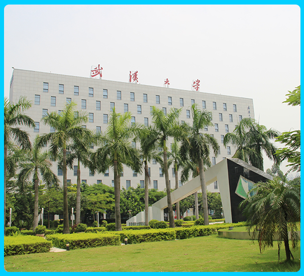 Shenzhen Yawell Intelligent Technology Co., Ltd. Smart Ring