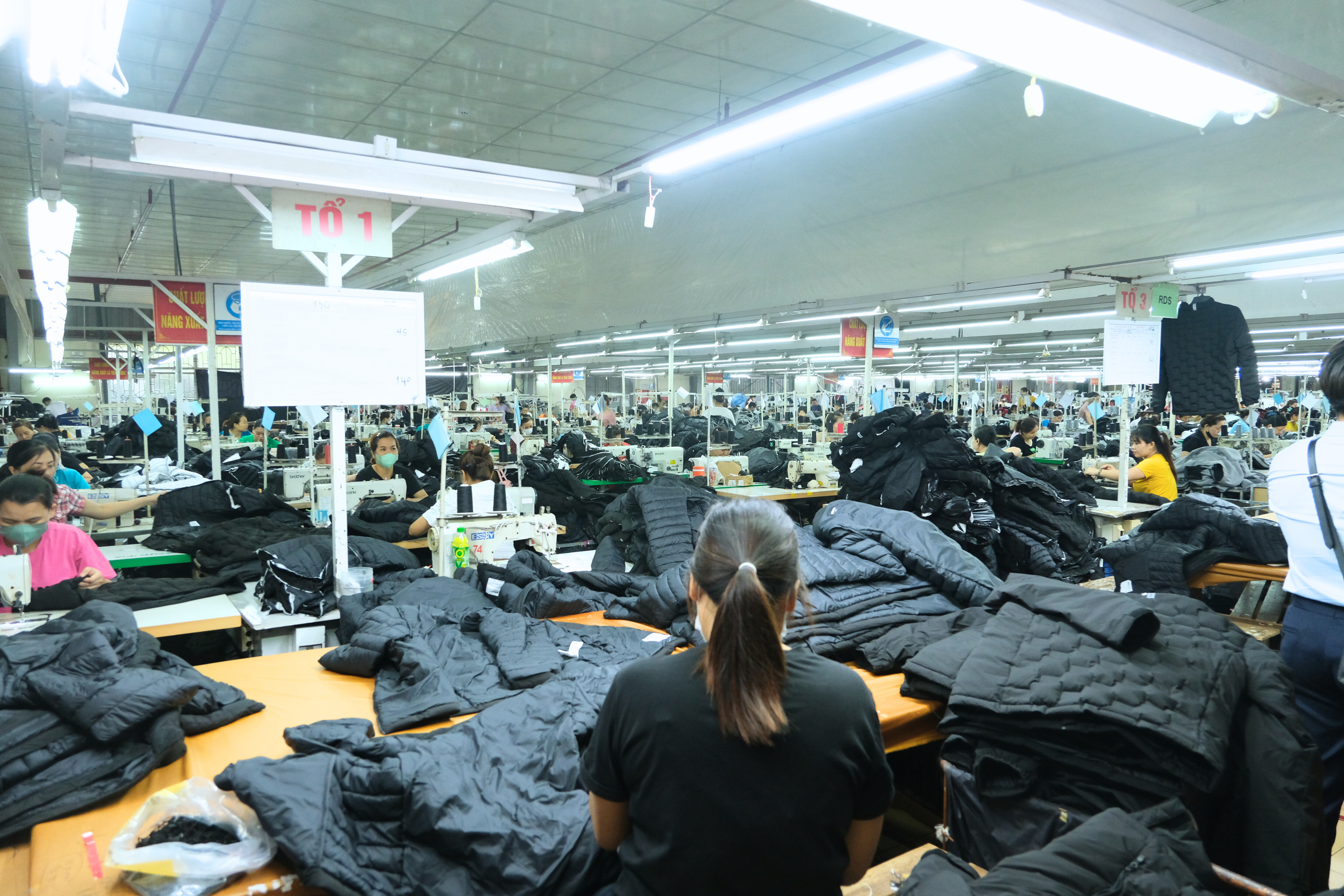 TLD Apparel Sportswear