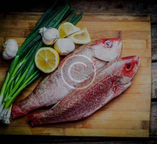 Sea Food For Sale