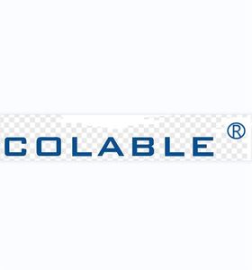 Company icon