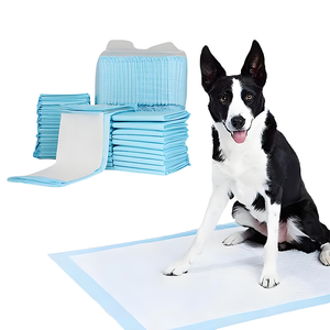 How To Use Dog Pee Pad