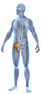 Hip Care