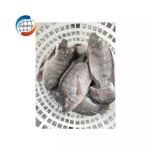 Best Price Frozen Alive Tilapia Whole Round Fish With IQF Bulk Tilapia Products Supplied From China
