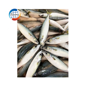 Frozen bqf whole round  mackerel jack fish Marine scomber japonicus frozen pacific mackerel fish for export