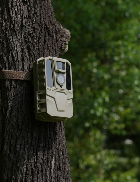 Trial Cameras