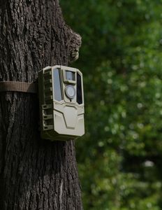 Trial Cameras