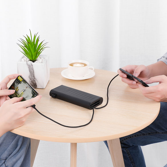 Zhongshan i-Regal Electronics Co., Ltd. GaN Charger