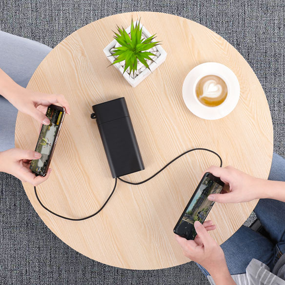 Zhongshan i-Regal Electronics Co., Ltd. USB Wall Charger