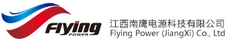 Flying Power (Jiangxi) Co., Ltd. logo