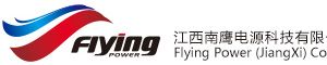 Company icon