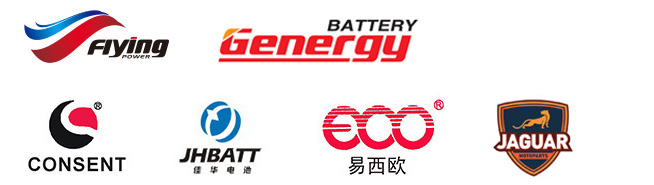 Flying Power (Jiangxi) Co., Ltd. Motorcycle batteries