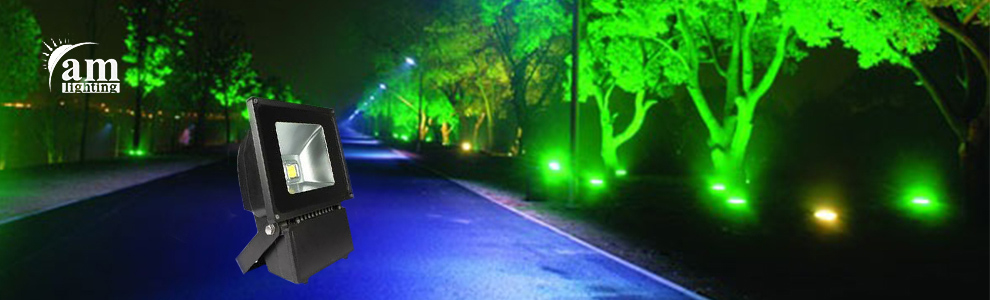 Shenzhen AM Electrical Co., Ltd. LED Garden Lights