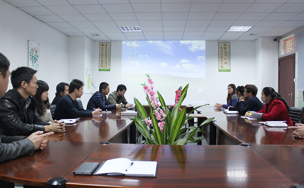 Shenzhen Roman Technology Co., Ltd. ANC Earbuds