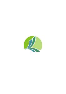 Company icon