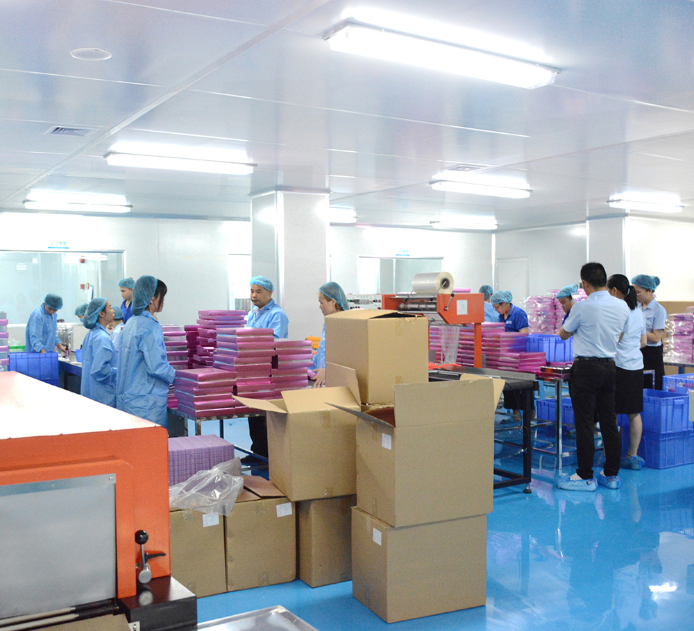 Guangdong Lanqi Cosmetics Manufacturing Co., Ltd. Facial Mask