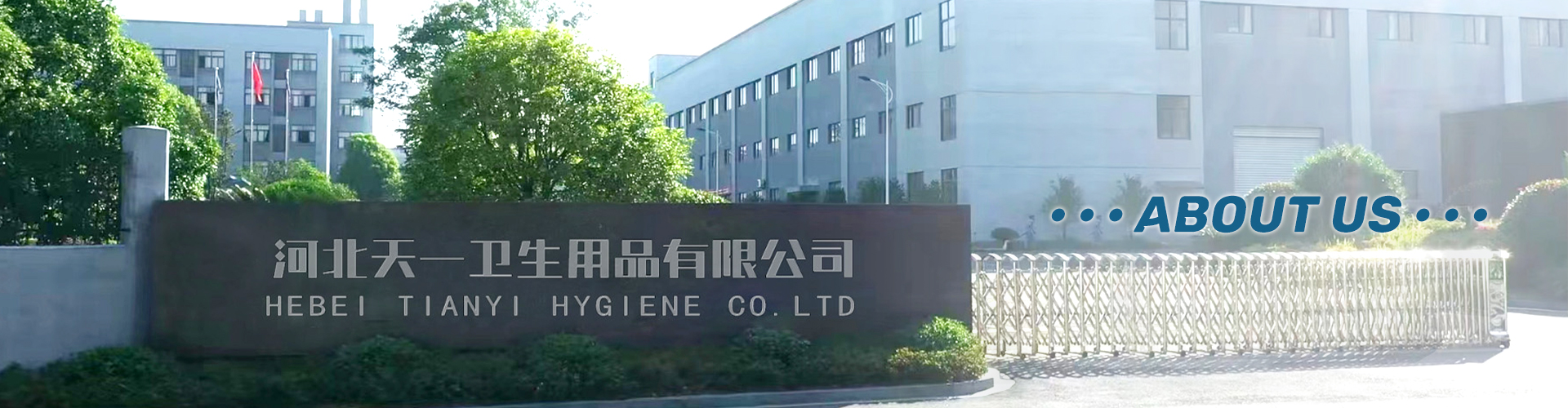 Hebei Tianyi Hygiene Co., Ltd. Adult Diapers