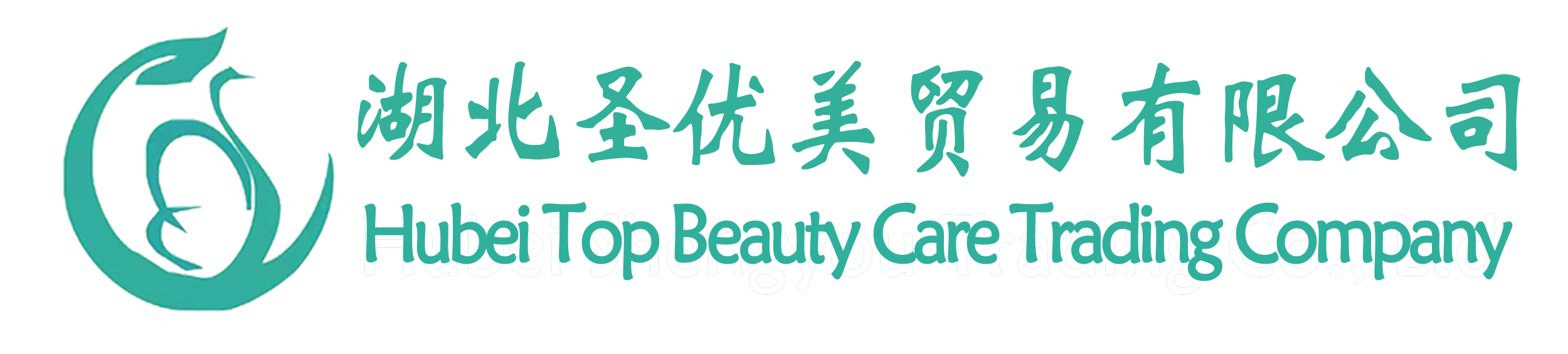 Hubei Top Beauty Care Trading Company logo