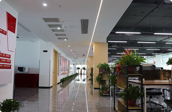 Henan Carlton Energy Technology Co., Ltd. Electric Forklift