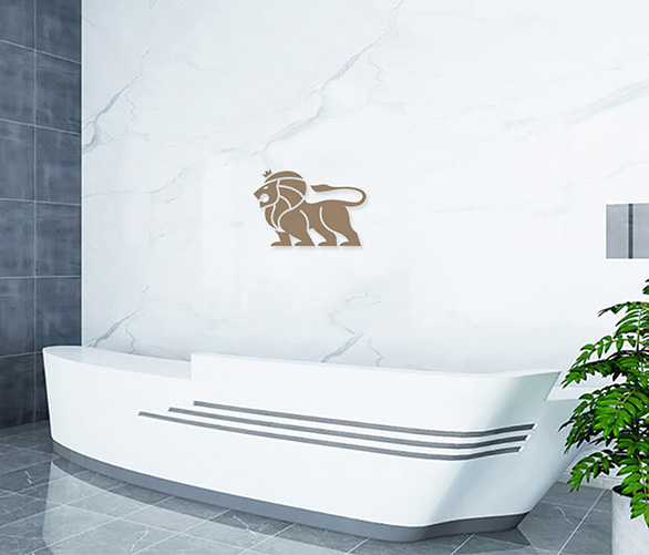 Shandong Lion Electric Technology Co., Ltd. electric scooter