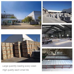 Xiamen Qinyuan Import And Export Co., Ltd. Stone Sinks