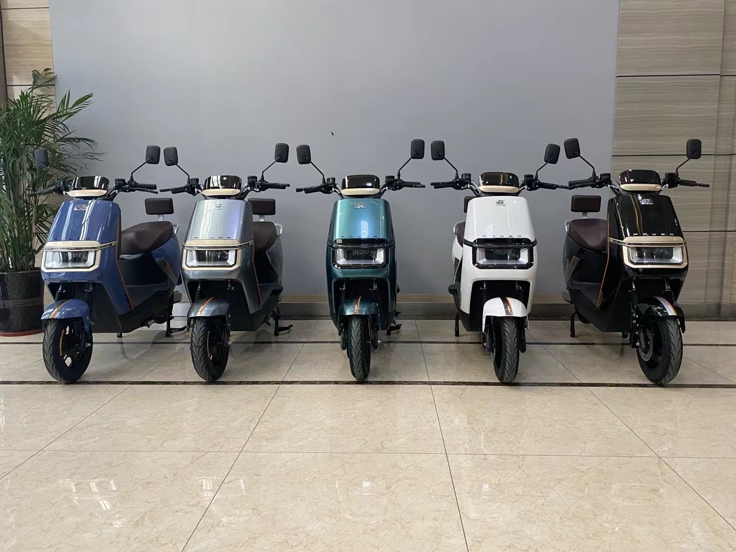 Wuxi Shilu Electric Technology Co., Ltd. Electric Scooter OEM