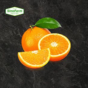 Navel orange