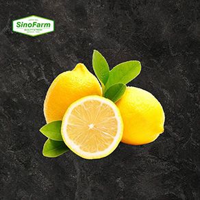 Lemon