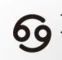Company icon