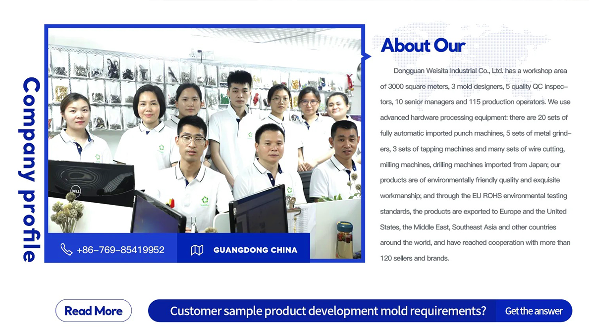 Dongguan Weisita Industrial Co., Ltd. Metal Chains
