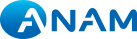 Anam Electronics Vietnam logo