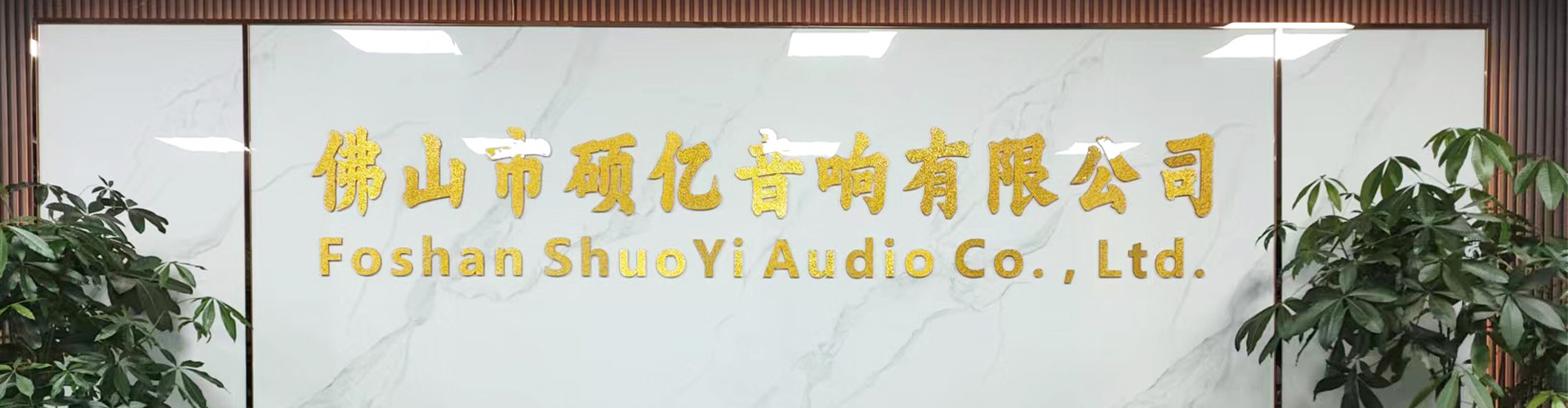 Foshan Shuoyi Audio Co., Ltd. factory image 4