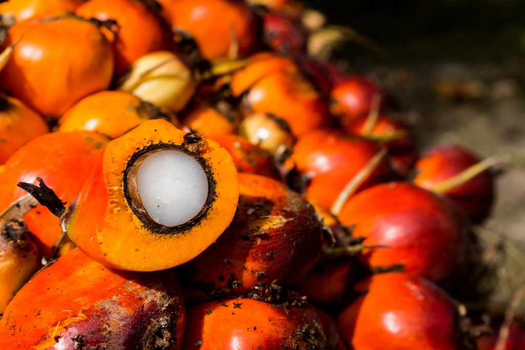 PT Able Commodities Indonesia Refined Palm Oil