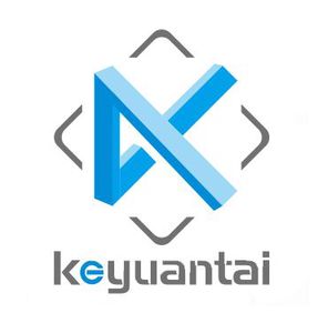 Company icon