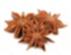 Star Anise