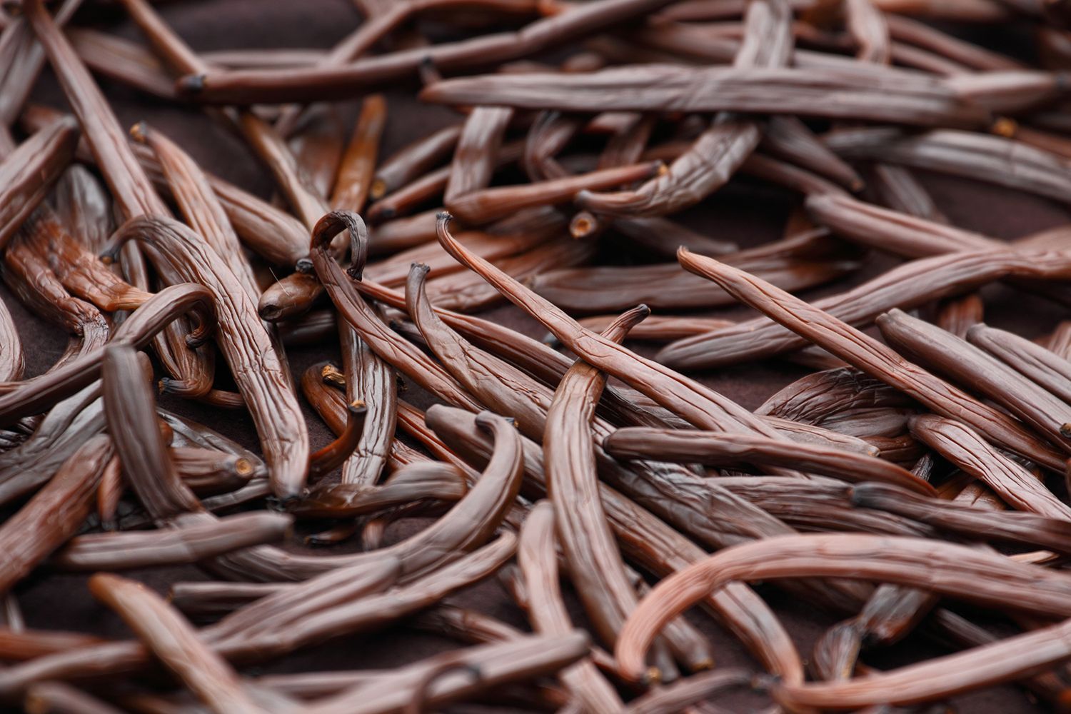PT Nusantara Adi Dharma Grade A Vanilla Beans