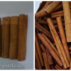 Cinnamon / Cassia Cutting Stick AA – A